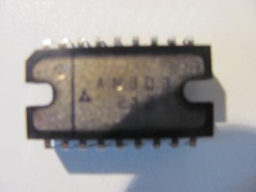 IC AN 303